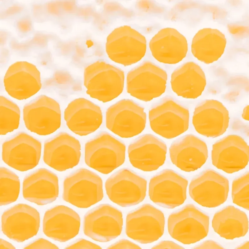 busybee_hero_2 busybee_hero_2